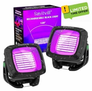 Rechargeable Black Light 2 Pack