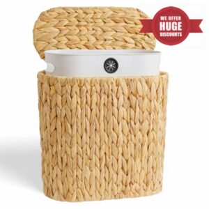 iEGrow 3 Gallon Wicker Trash Can