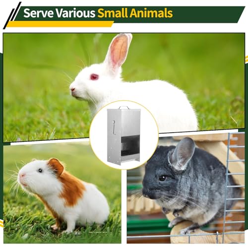 Guinea Pigs