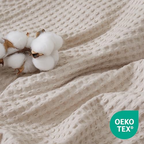 Lightweight All Season Cozy Blanket for Women