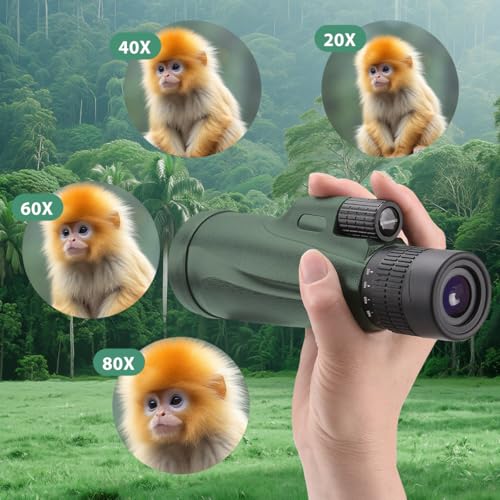 Wide Field HD Monoculars for Adults with Tripod & Phone Adapter