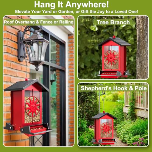 Patio-Red