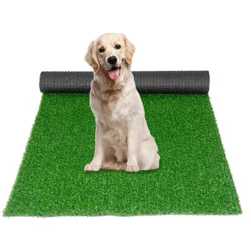 Garden Lawns