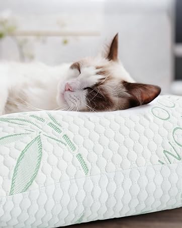 foam pillows