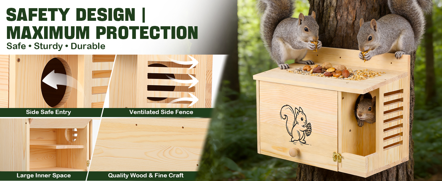 squirrel feeder