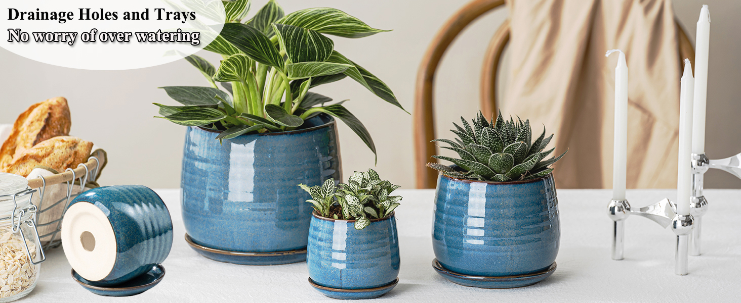 plant pots