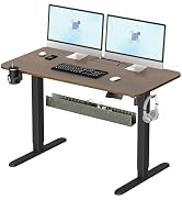 ERGO COLLECT Electric Standing Desk,48x24 Inch Adjustable Height Sit Stand Desk with Cable Manage...