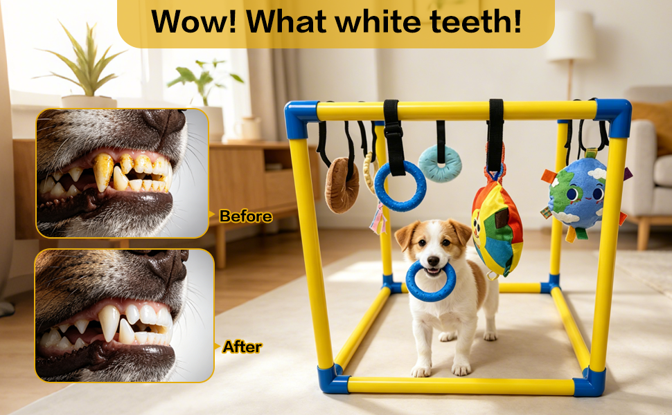 Puppy Play Gym with 8 Hanging Toys