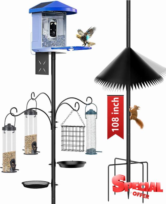 Bird Feeder Pole