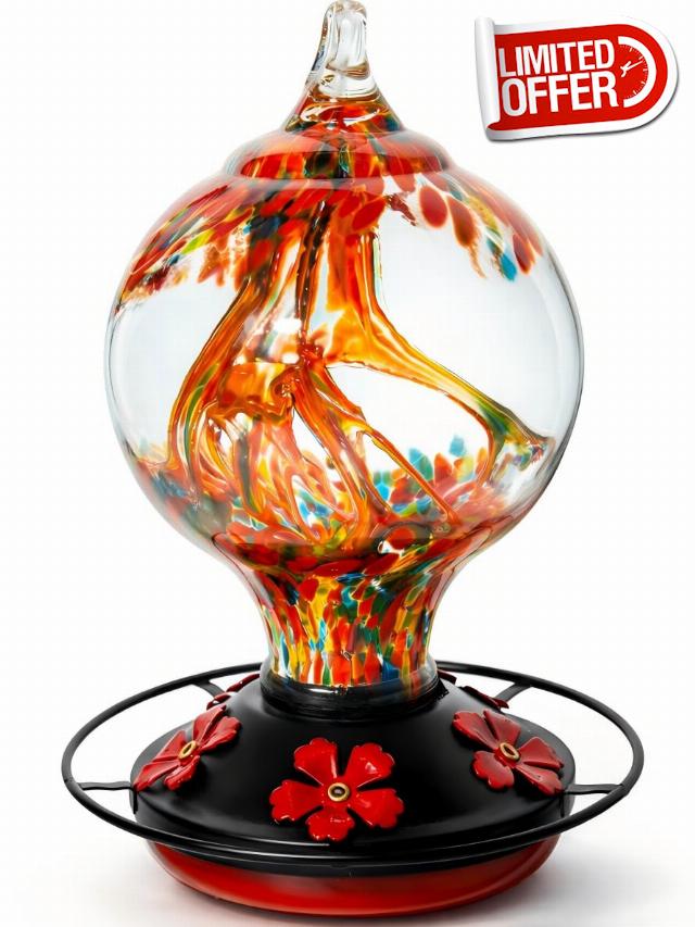 Hummingbird Feeder for Outdoors