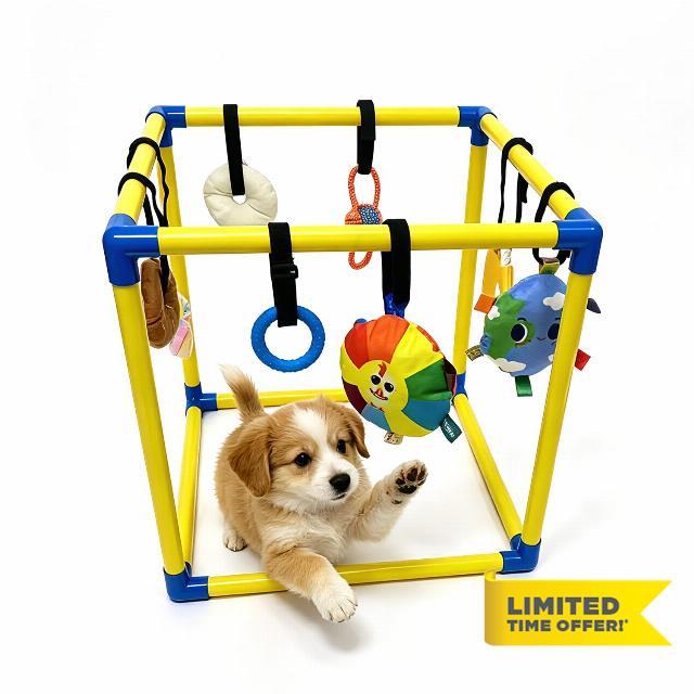 Puppy Play Gym with 8 Hanging Toys - Indoor Jungle Gym for Small Dogs