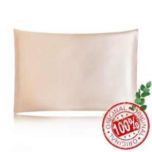 THXSILK Toddler 13x18 Pillowcase 100% 6A+ Mulberry Silk & Tencel Zip Free Envelope Luxury Cooling Hypoallergenic Washable Oeko-TEX Certified
