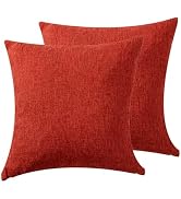EVAsponge Throw Couch Pillow with Insert 18x18 Inches Set of 2 Square, Cute Modern Home Fall Deco...