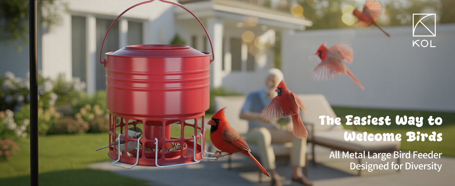 bird feeder