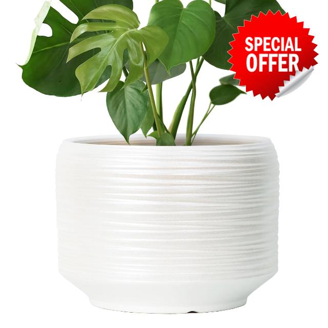 10 Inch Ceramic Plant Pot with Drainage – Large Flower Pot for Indoor Outdoor Plants