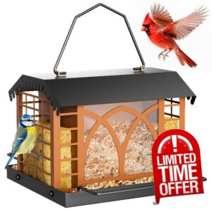 Bird Feeders for Outdoors Hanging