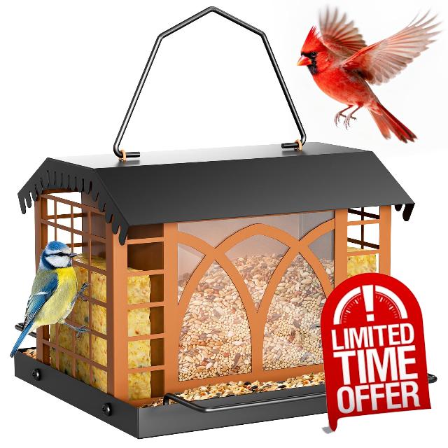 Bird Feeders for Outdoors Hanging