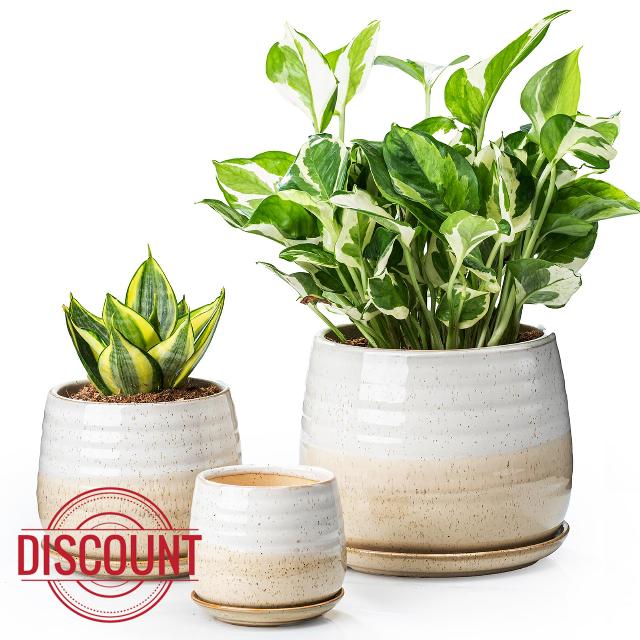 3 Pack Ceramic Small Plant Pots Planters for Indoor Flowers Plants with Drainage Holes & Saucer