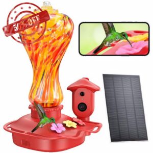 Smart Glass Hummingbird Feeder with Camera