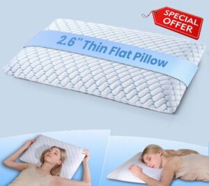 2.6" Ultra Thin Memory Foam Pillow with Cool-to-Touch Cover