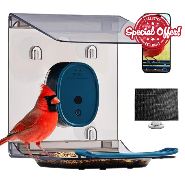 Smart Bird Feeder with Camera Solar Powered