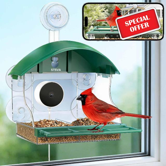 2026 Upgraded Window Bird Feeder with Camera for Bird Watching | 2K Live Video