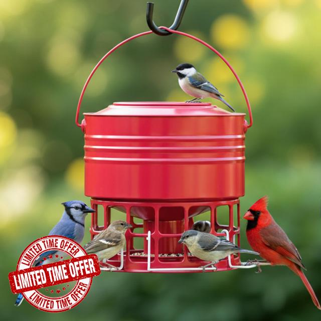 KOL Large Bird Feeder for Outdoors