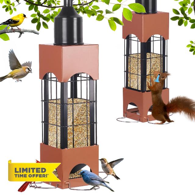 Squirrel Proof Bird Feeders for Outdoors Hanging