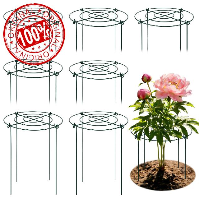 Peony Cages and Supports 8 Pack