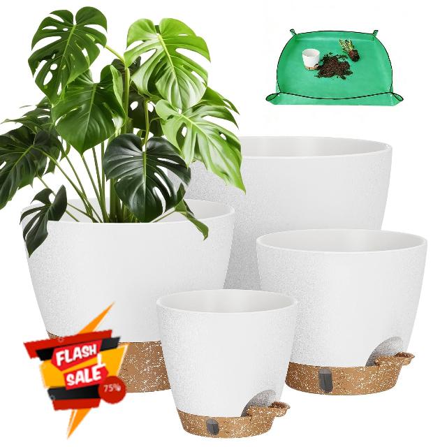 Plant Pots