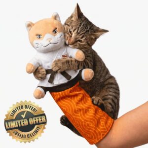 KARATE KITTY Cat Wrestling Glove & Puppet Toy with Arm Sleeve | Interactive boxing cat toy with arm sleeve