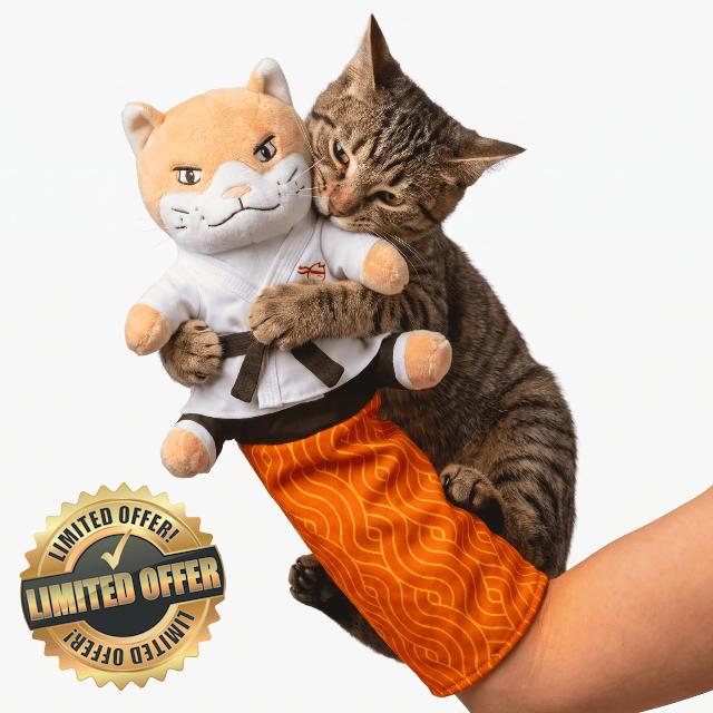KARATE KITTY Cat Wrestling Glove & Puppet Toy with Arm Sleeve | Interactive boxing cat toy with arm sleeve
