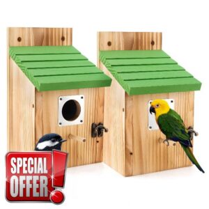 Bird Houses for Outside