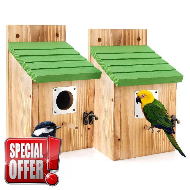 Bird Houses for Outside
