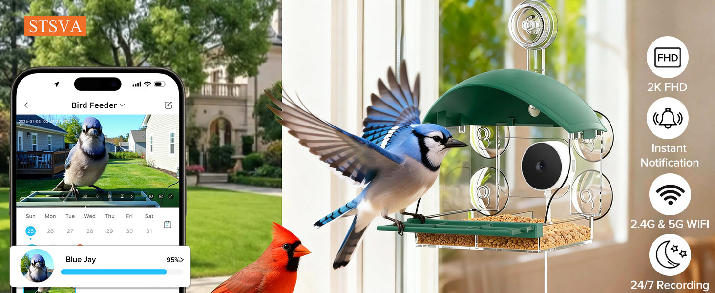 Window Bird Feeder with Camera