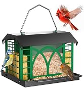 Bird Feeders for Outdoors Hanging, Metal Bird Feeder with Double Suet Cage Weatherproof Metal Roo...