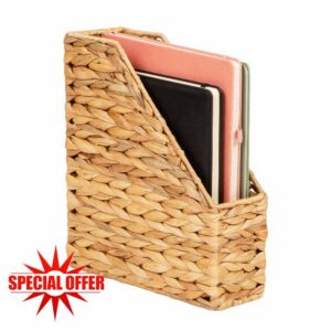 Mind Reader Rattan Vertical File Organizer with Iron Frame