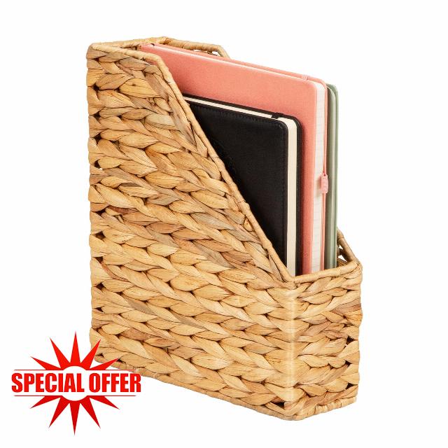 Mind Reader Rattan Vertical File Organizer with Iron Frame