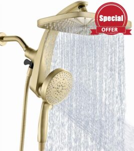 Rain Shower Head with Handheld Showerhead