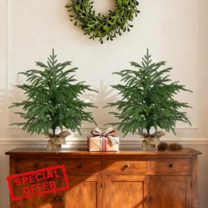 Grooy 2 Pack 2FT Artificial Norfolk Pine Tree with Pot | Realistic UV Rated Shrubs