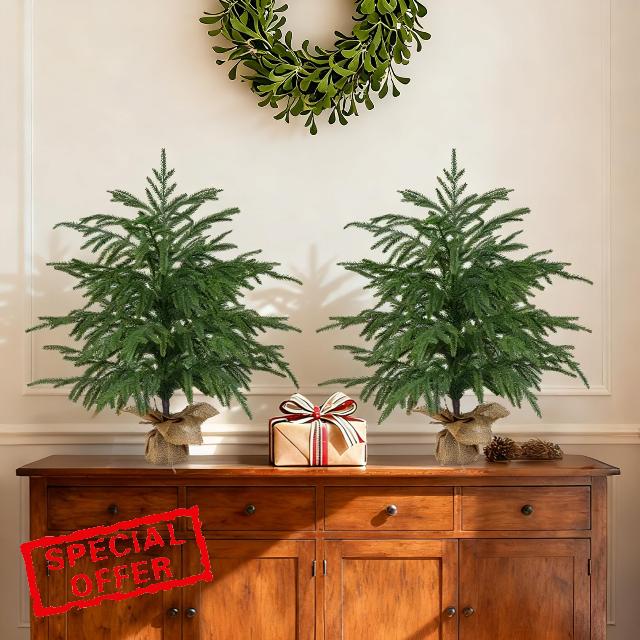 Grooy 2 Pack 2FT Artificial Norfolk Pine Tree with Pot | Realistic UV Rated Shrubs
