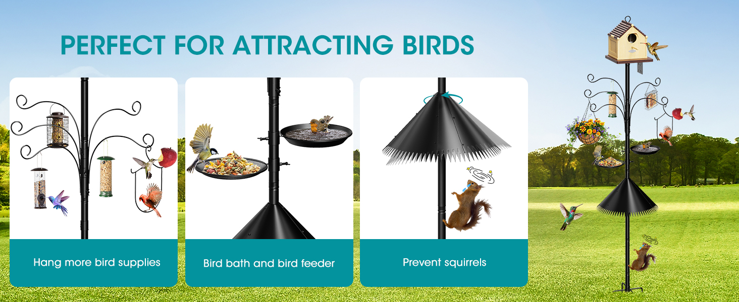 bird feeder pole