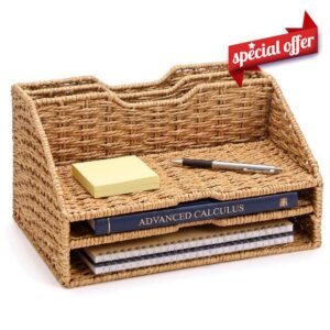RattanView Paper Rope Desk File Organizer