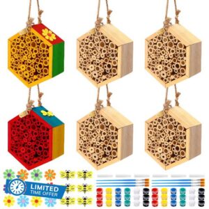 Leinuosen 6 Pcs Mason Bee House with DIY Painting Kits
