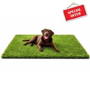 Dog Grass Rug 47.2 x 31.5in – Realistic Artificial Turf with Fast Drainage