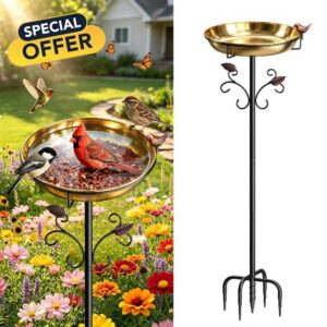 50" Tall Stainless Steel Bird Bath for Outside