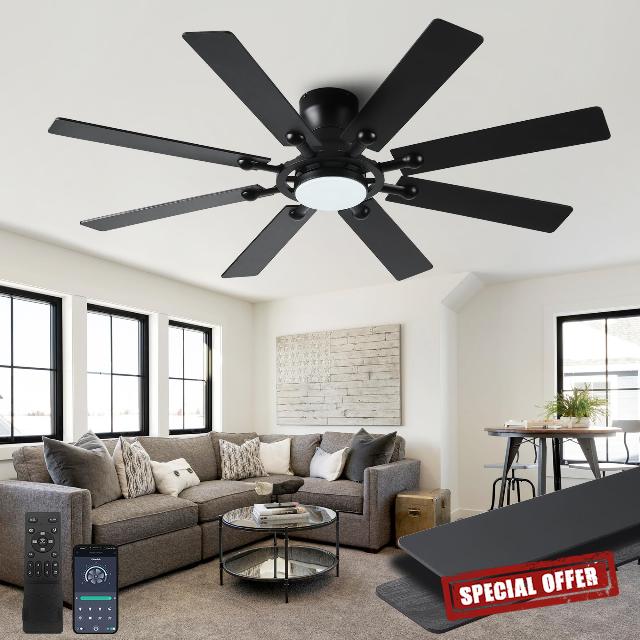 Ceiling Fans with Lights