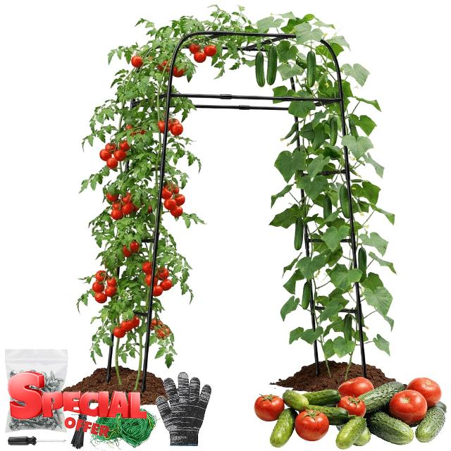 Garden Arch Trellis for Climbing Plants