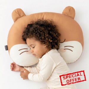 Toddler Pillow 2 to 6 Years Old