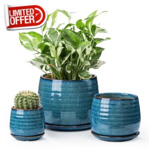 Ceramic Plant Pots with Drainage Holes and Saucers